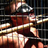 Dungeon Games: Cage 1